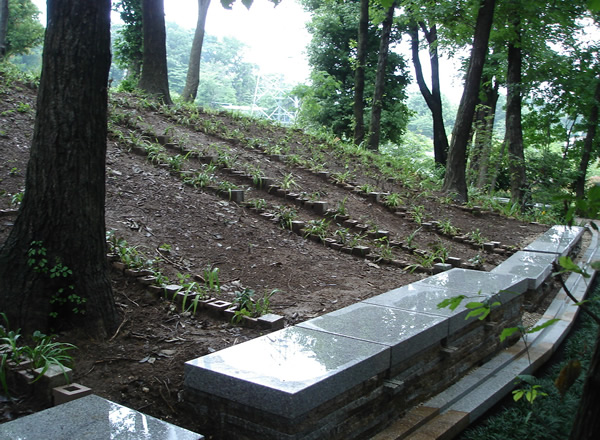 樹林型墓地設計